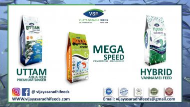 Vijaya Saradhi Feeds Products Best Acqa Feed in India Acqa Feed Manufacturer in Andhra pradesh, India Best Acqa Feed Supplier in Andhra Pradesh