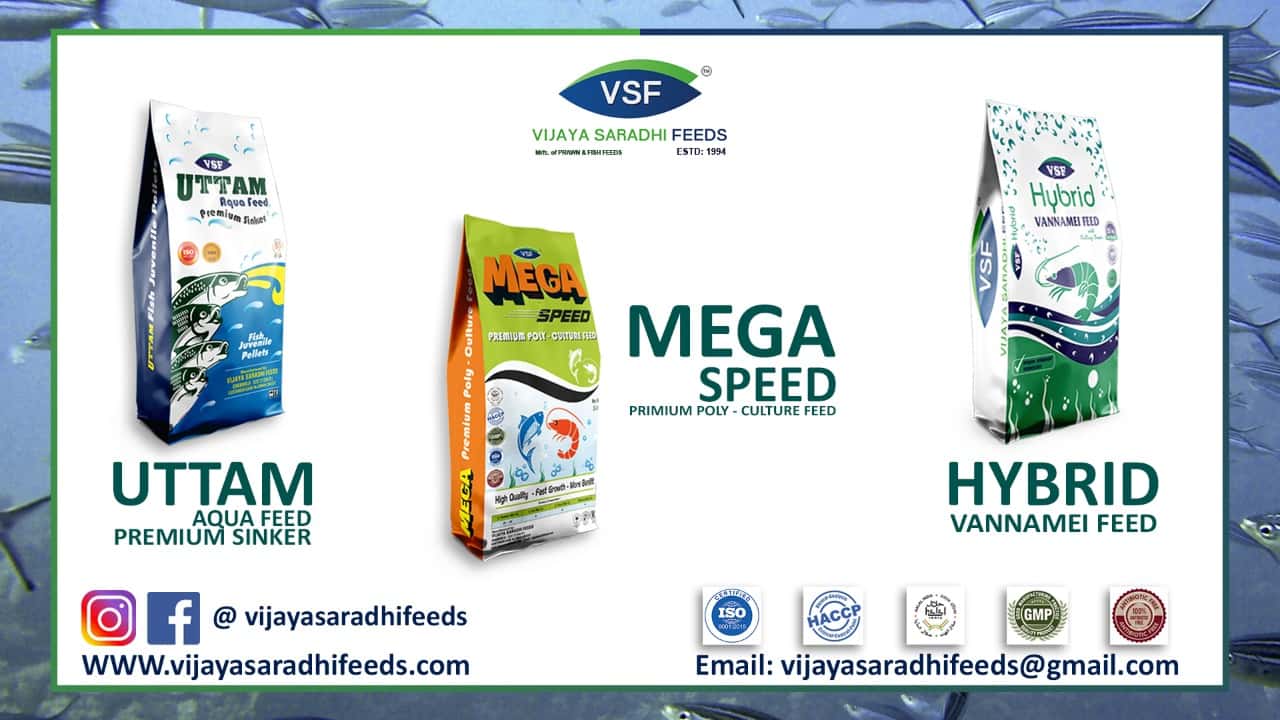 Vijaya Saradhi Feeds | Aqua Feed Manufacturer in Andhra Pradesh | Aquafeeds  For Fish | Shrimp & Prawns | Fish Feed Manufacturers & Suppliers in India