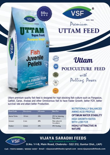 UTTAM Feed | Vijaya Saradhi Feeds | UTTAM | technology image for VSF new | Hybrid Vanamei Feed | Best acqa feed manufacturers in andhra pradesh