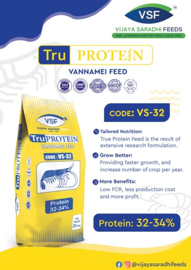 TruProtien Best Vennamei Feed in Andhra Pradesh Vijaya Saradhi Feeds yellow 1