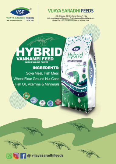 Hybrid Vanamei Feed | Best acqa feed manufacturers in andhra pradesh