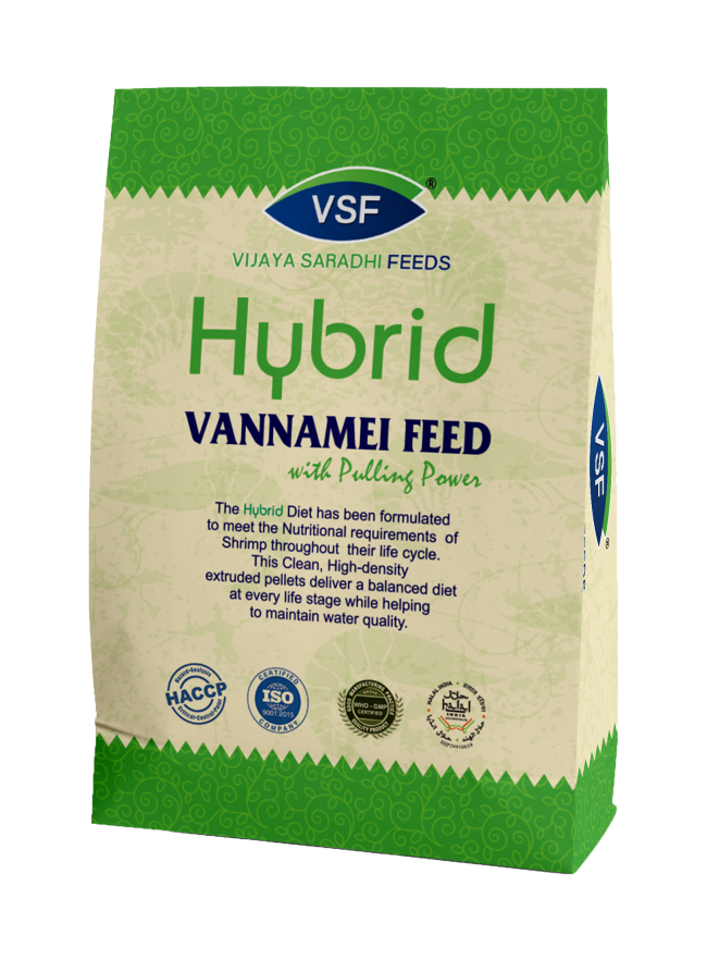 Hybrid Vennamei Feed | Best Vennamei Feed in Andhra Pradesh | Vijaya Saradhi Feeds